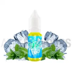 líquido para vapear de sales de nicotina con sabor mentolado Ice Mint 10 ml 10/20 mg Fruizee