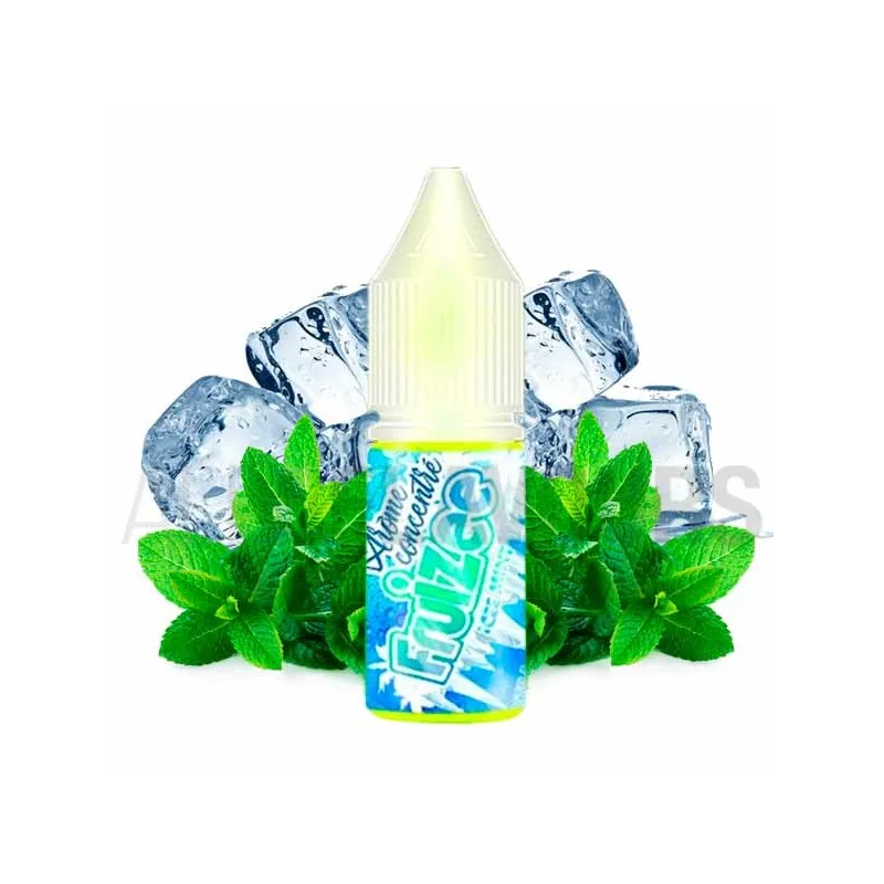 Mezcla tus propios líquido vaper con el aroma de vapeo sabor menta Ice Mint 10 ml Fruizee Mezcla tus propios líquido vaper con el aroma de vapeo sabor menta Ice Mint 10 ml Fruizee