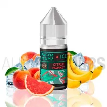 Citrus Monkey 30 ml Pachamama Ice
