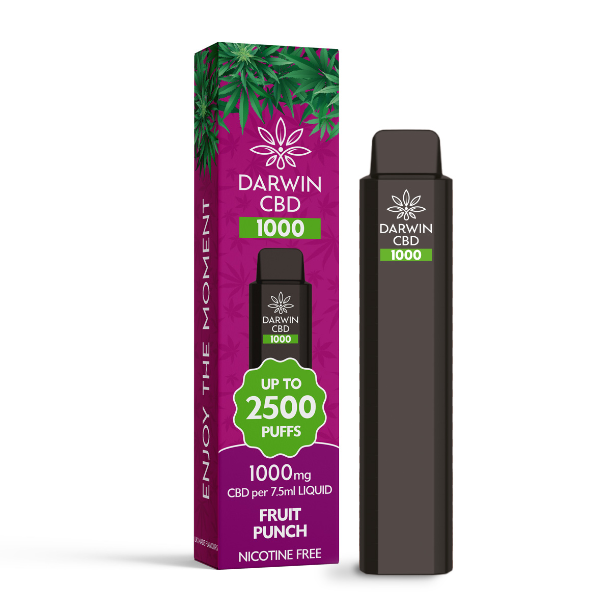 Darwin-1000-Fruit-Punch.jpg