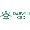Darwin CBD