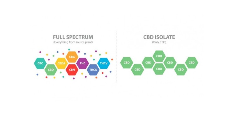 CBD espectro completo: Todo lo que necesitas saber