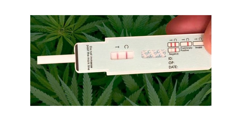 ¿Puede dar positivo el CBD en un test de drogas?
